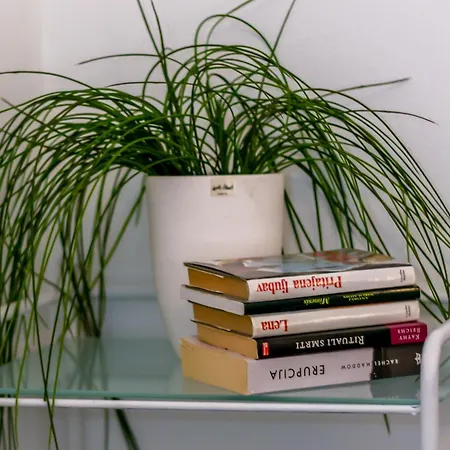 Apartman “Destiny” Rijeka