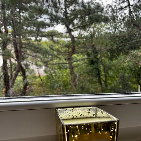 Appartement “destiny” *